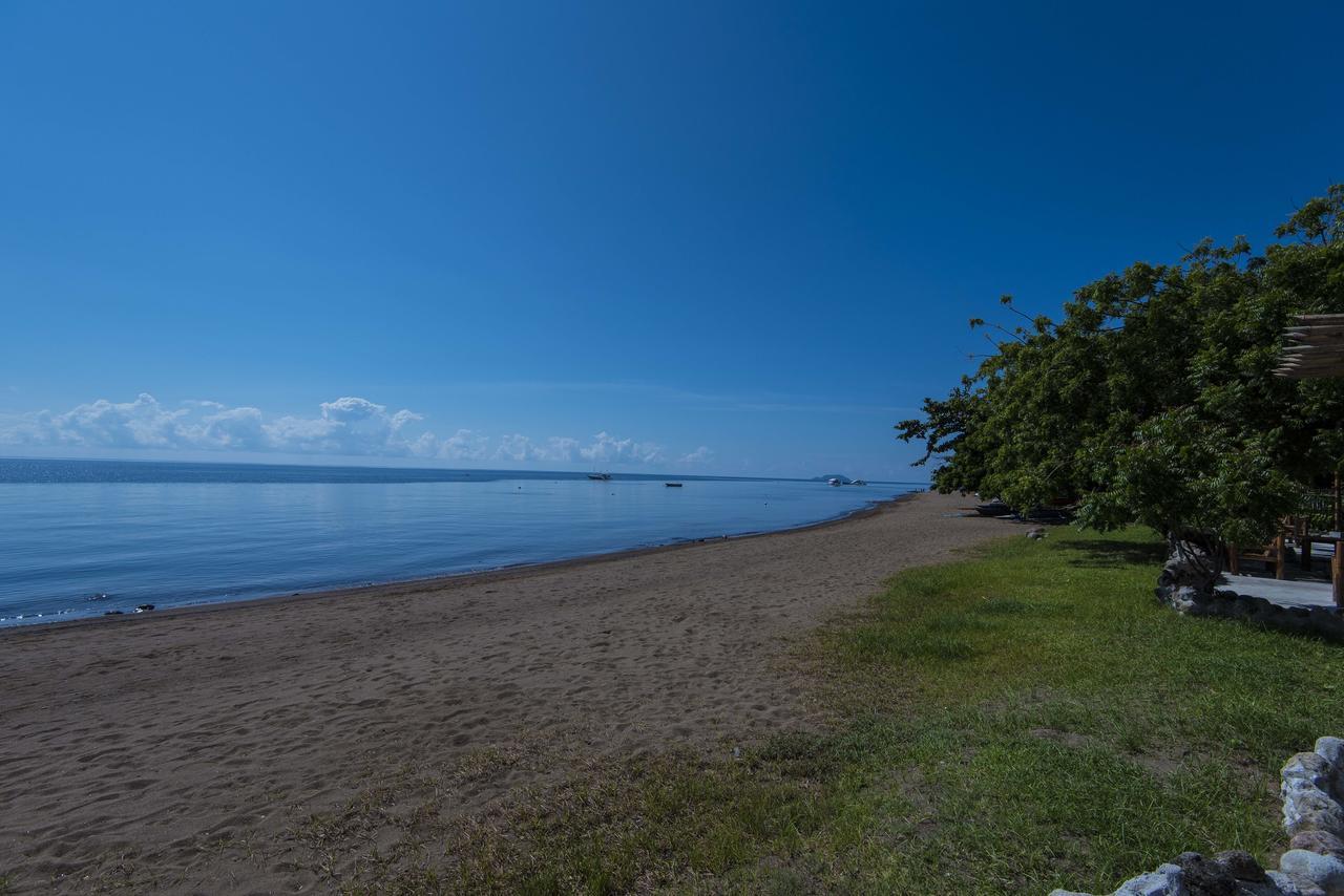 Liquid Dive Resort Dauin Bagian luar foto