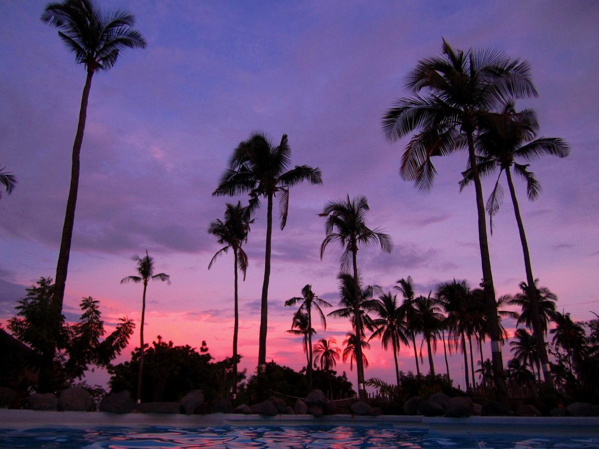 Liquid Dive Resort Dauin Bagian luar foto