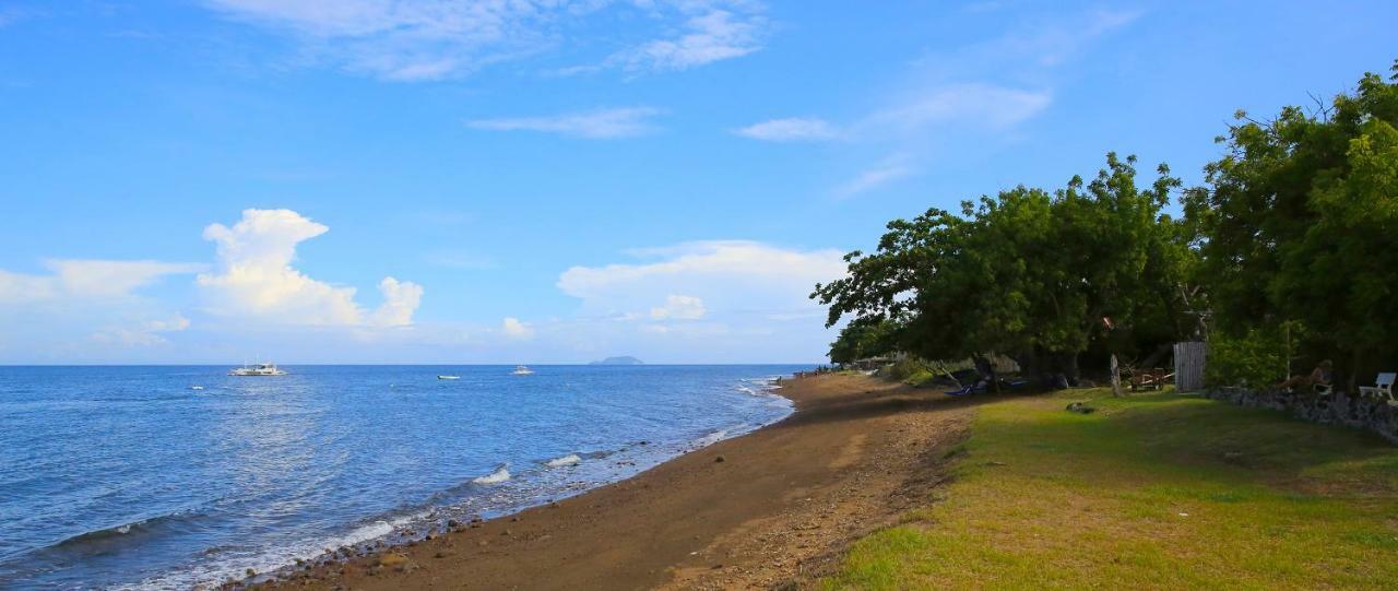 Liquid Dive Resort Dauin Bagian luar foto