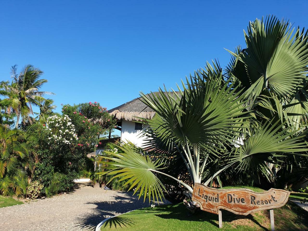 Liquid Dive Resort Dauin Bagian luar foto