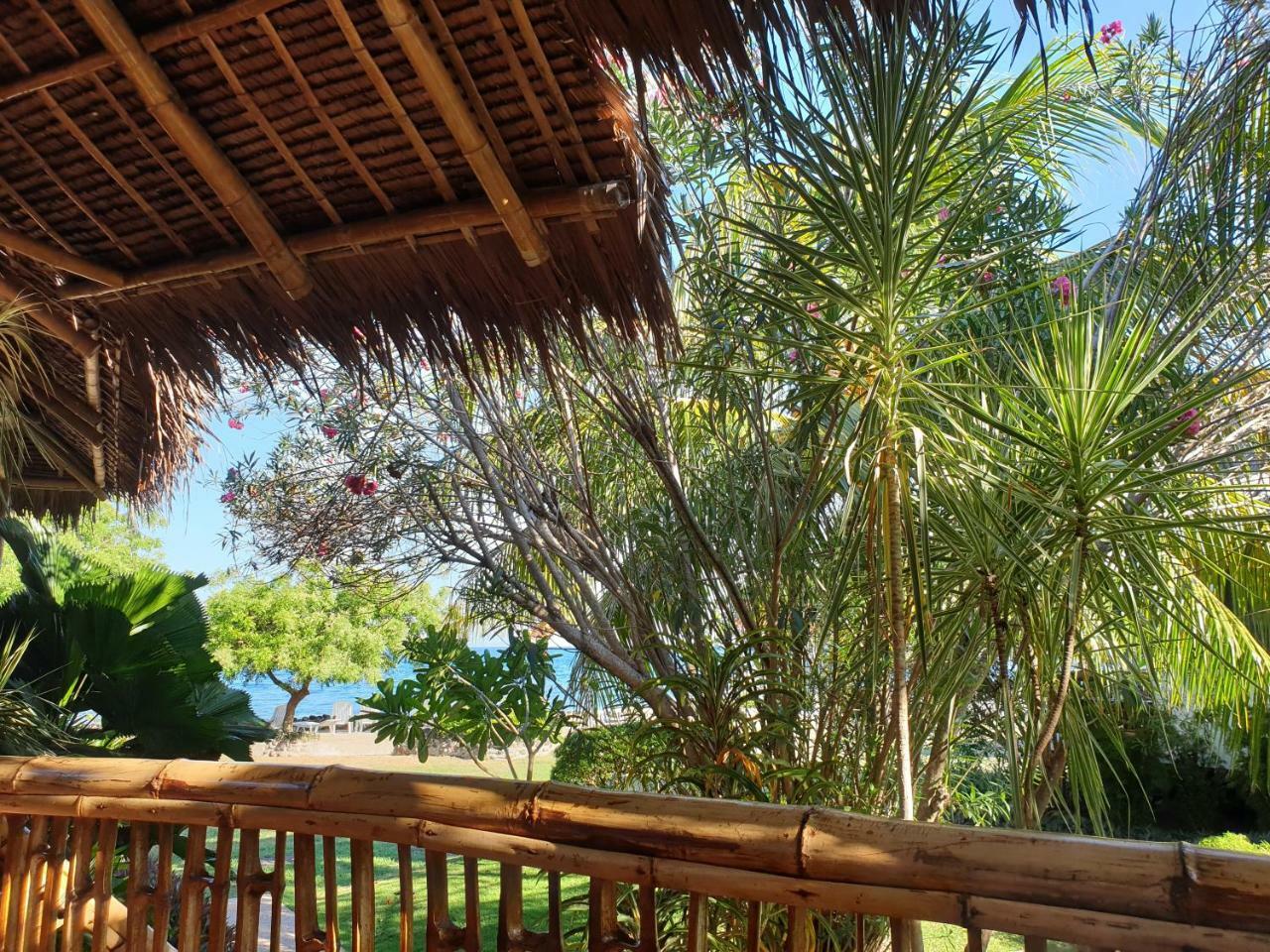 Liquid Dive Resort Dauin Bagian luar foto